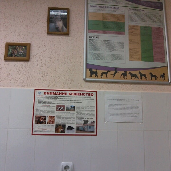 Ветеринарная клиника куйбышев. Городская ветеринарная лечебница Арзамас. Адлерская ветеринарная лечебница.