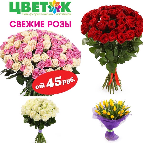 Цветов пользователи. Цветов пользователи
