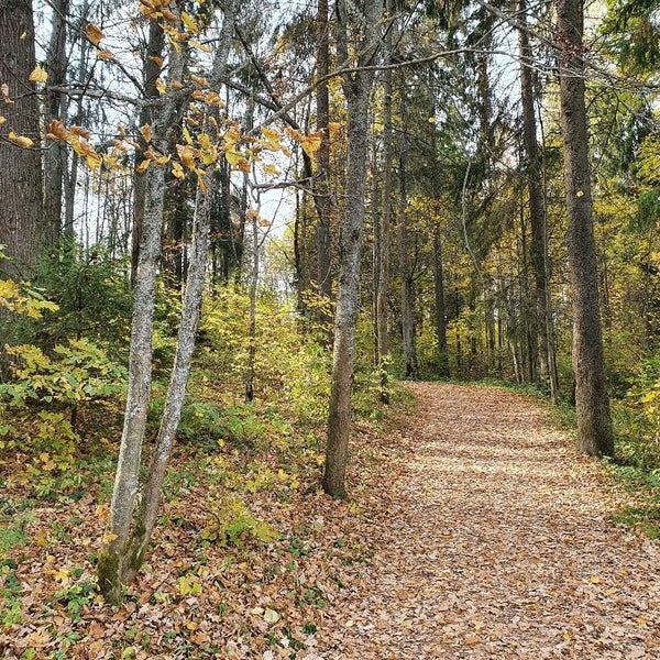 хотьково лесная. лес в хотьково. албазинский острог в коломенском. хотьково лесная. хотьково лесная.