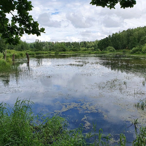 хотьково лесная