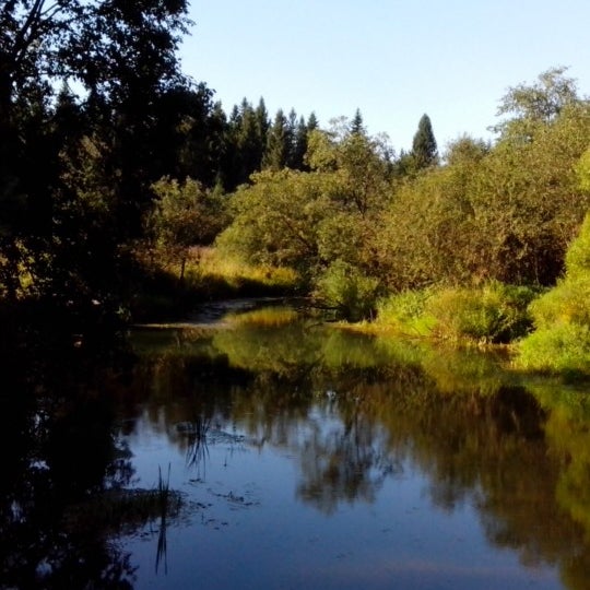 Абрамцево река воря