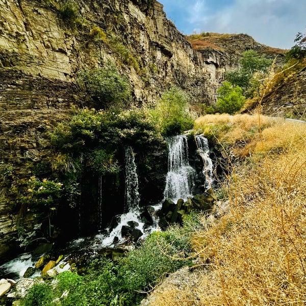 Сент Люсия водопад в Ботаническом саду