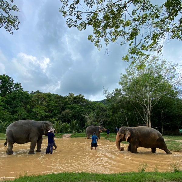 Elephant sanctuary park