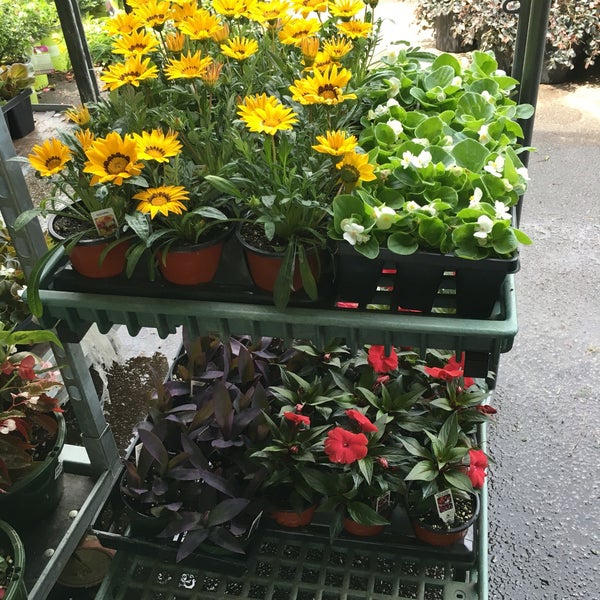 Growers Outlet Loganville Fasci Garden