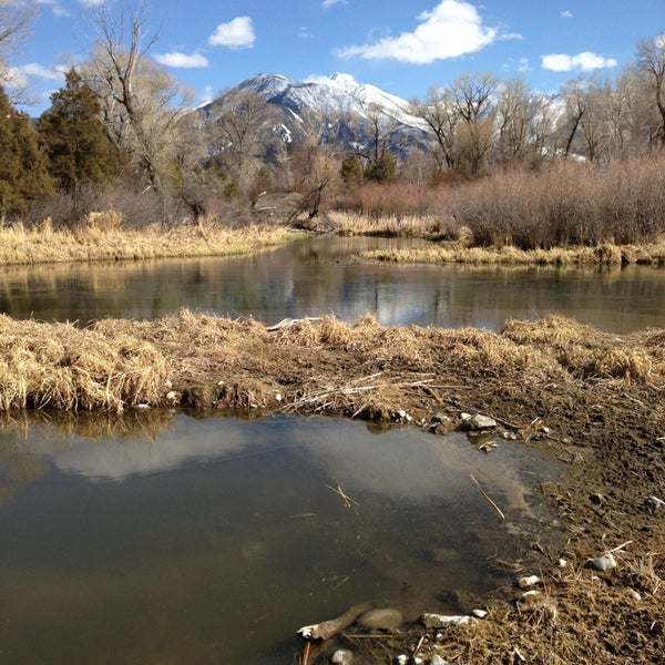 Spring creek. Spring creek