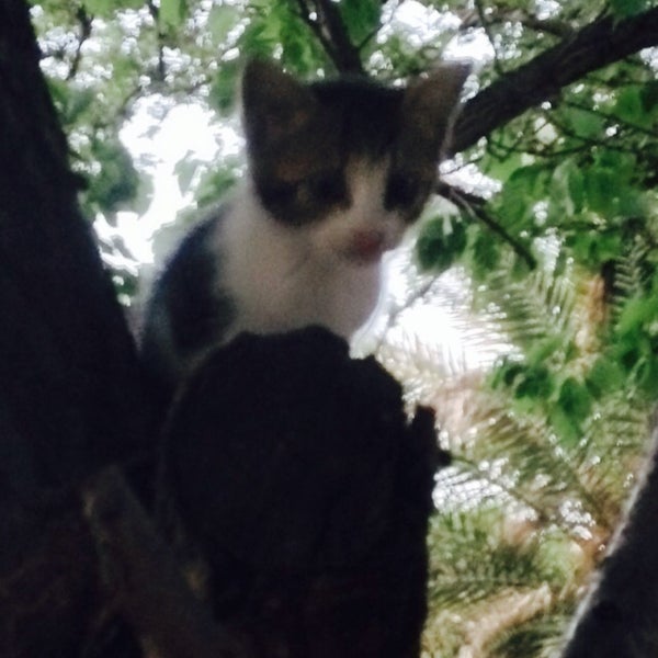 oren ortur evleri 3 conseils de 1082 visiteurs