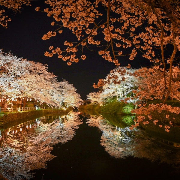 Photos At 鹿野城跡公園 鳥取市 鳥取県