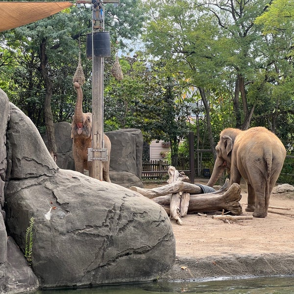 Снимок сделан в Cincinnati Zoo &amp; Botanical Garden пользователем Chris S. 9/9/2023