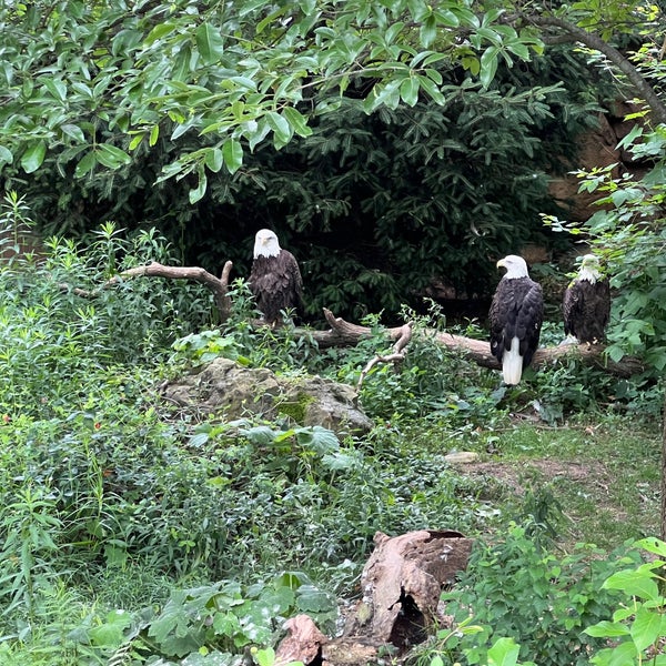 Photo taken at Cincinnati Zoo &amp; Botanical Garden by Chris S. on 5/29/2024