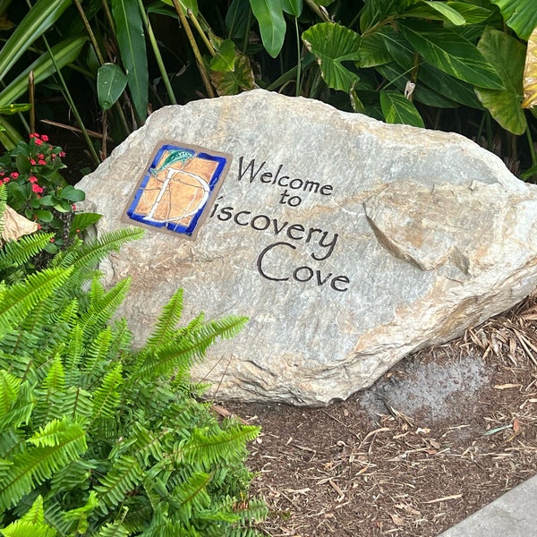 Photo taken at Discovery Cove by Chris S. on 5/13/2024