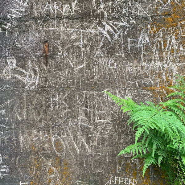 Windows walk. Windows walk. Фоновое изображение windows. Галерея виндовс. Windows xp персонажи.