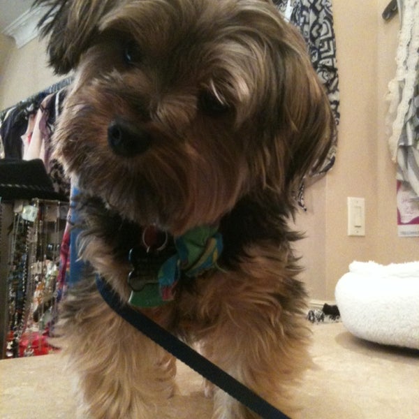 Zoe and Co. Boutique in Cedarhurst