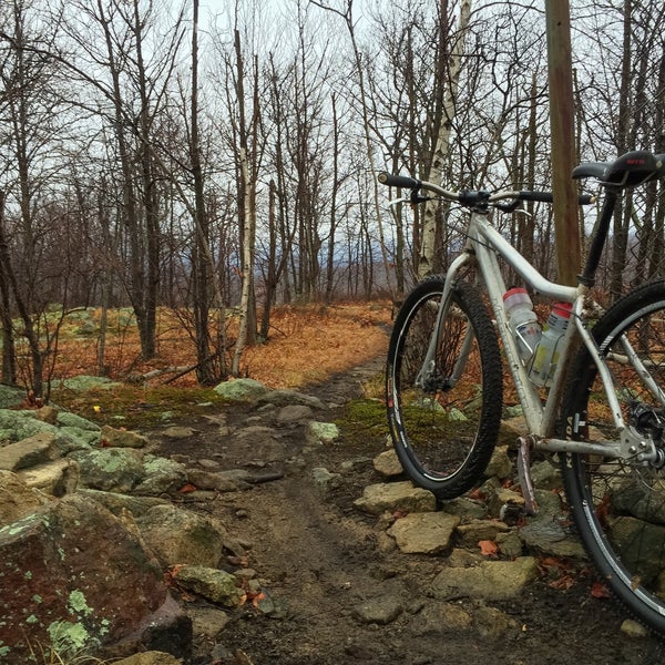 Jungle Habitat West Milford, NJ