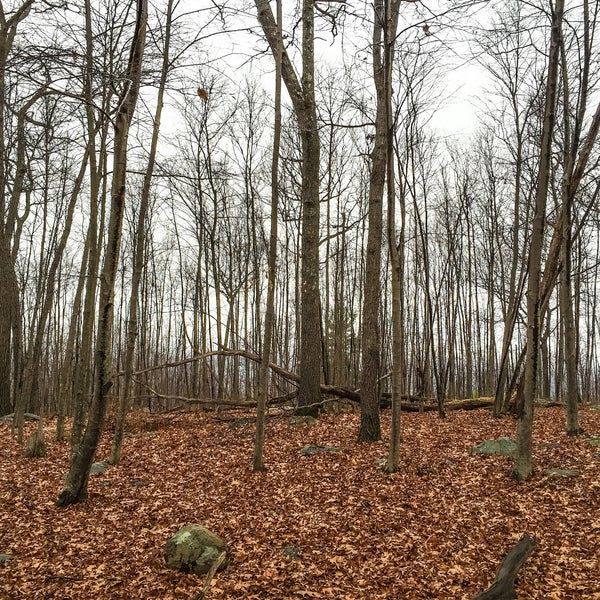 Jungle Habitat West Milford, NJ