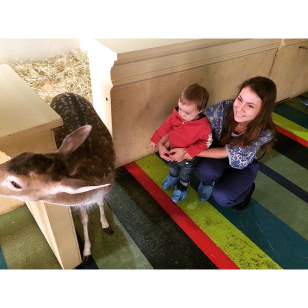 3/21/2015에 Daria S.님이 Контактный зоопарк &quot;Лесное Посольство&quot;에서 찍은 사진