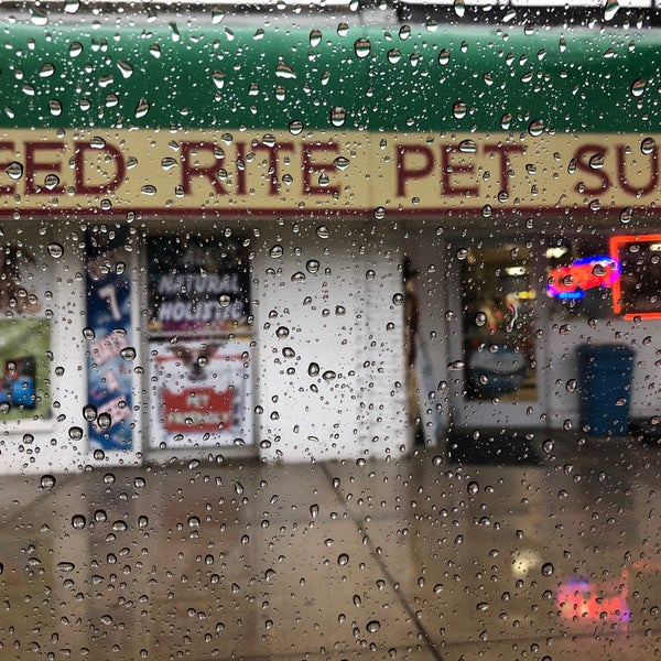 Feed rite pet shop & supply 2025