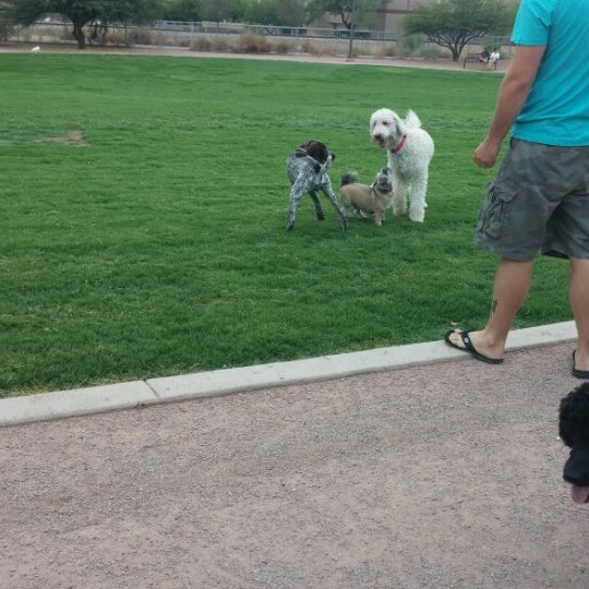 Photos at Tempe Sports Complex Dog Park 8401 S Hardy Dr.