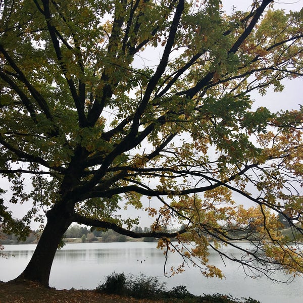 Fluckigersee Lake In Freiburg