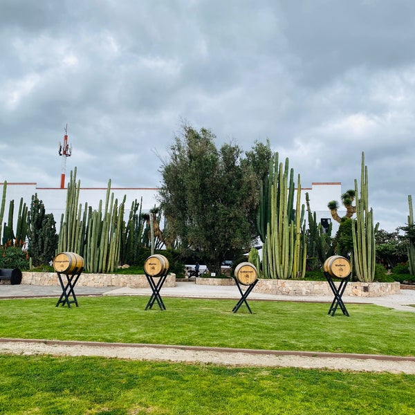 9/29/2022 tarihinde Raych C.ziyaretçi tarafından Viñedos La Redonda'de çekilen fotoğraf