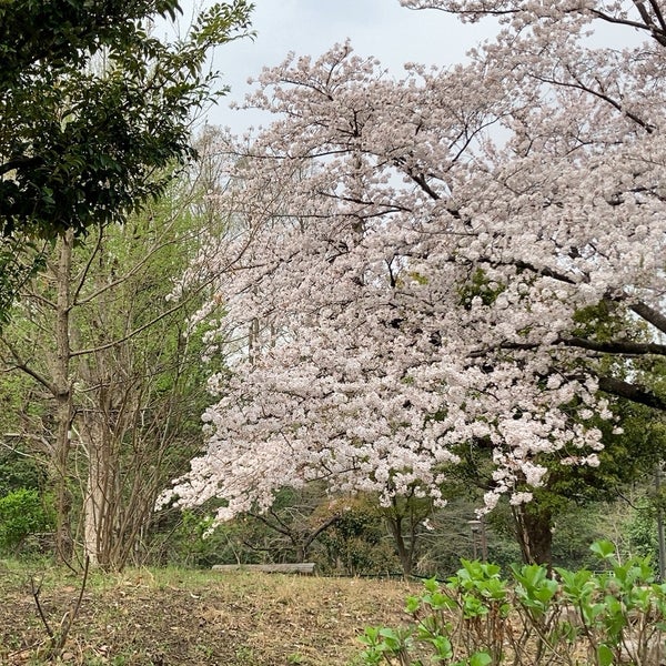 わかくさアスレチック公園 練馬区 東京都