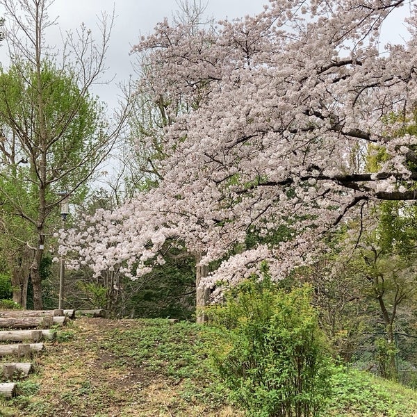 Photos At わかくさアスレチック公園 練馬区 東京都