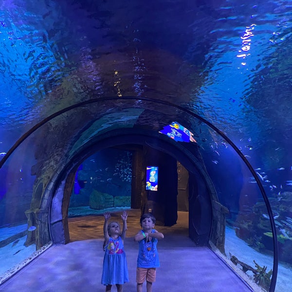 7/2/2022 tarihinde Yunus Emre H.ziyaretçi tarafından Funtastic Aquarium İzmir'de çekilen fotoğraf