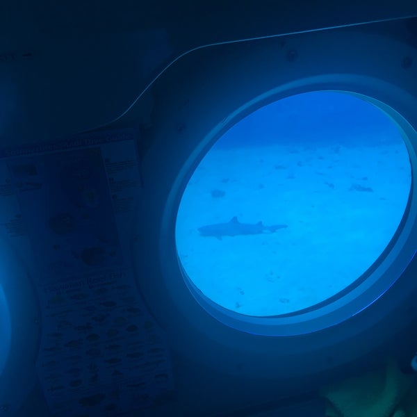 Photo taken at Atlantis Submarines Maui by Pragathi K. on 3/16/2018