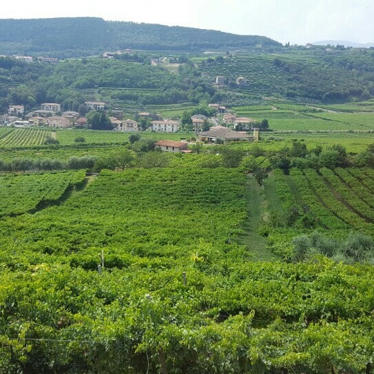 Das Foto wurde bei Fratelli Vogadori - Amarone Valpolicella Family Winery von Barbara am 7/10/2016 aufgenommen