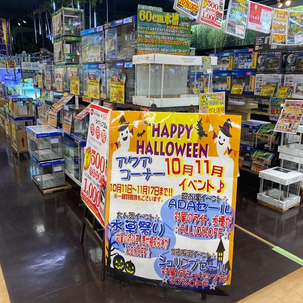 Photos At ひごペットフレンドリー パームシティ和歌山店 Pet Store Photos At ひごペットフレンドリー パームシティ和歌山店 Pet Store