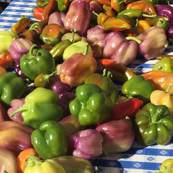 Coastside Farmers Market Half Moon Bay, CA