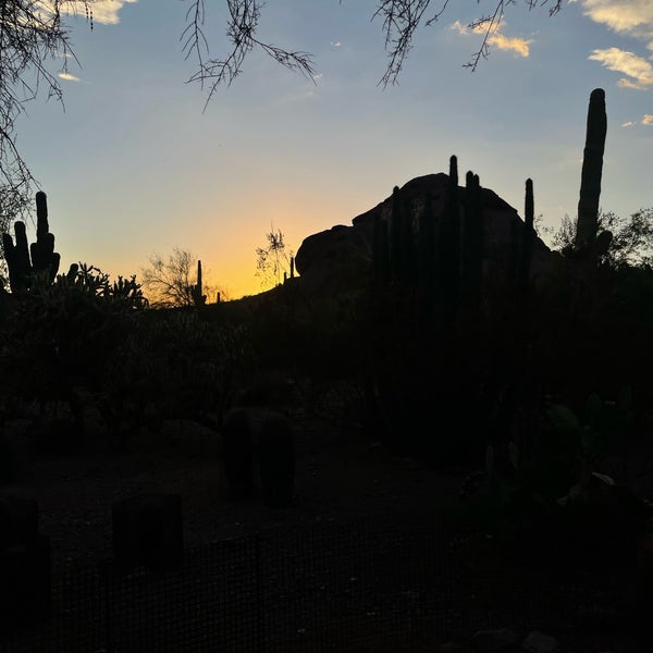 Photo taken at Desert Botanical Garden by AB on 8/15/2023