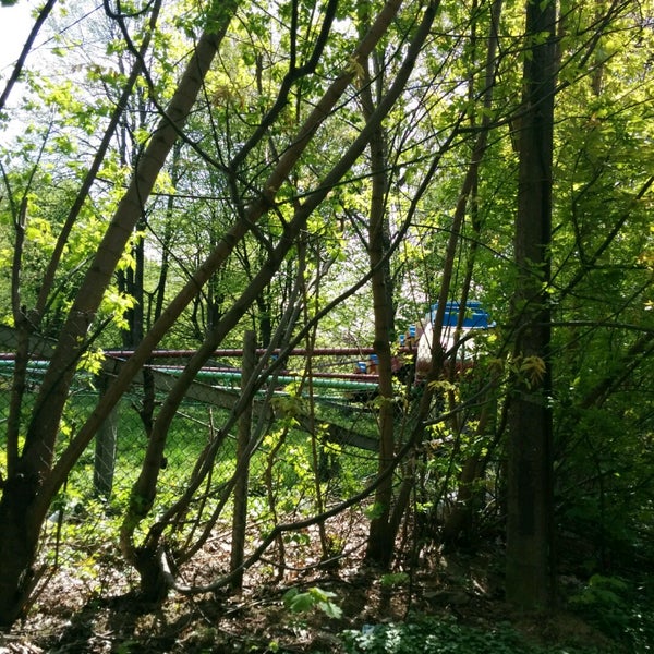 Ровно парки