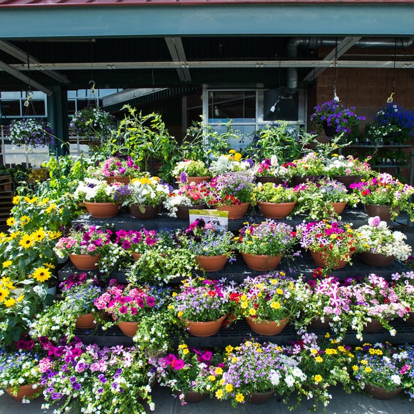 The Market at Anacortes Grocery Store in Anacortes