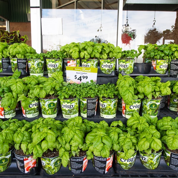 The Market at Anacortes Grocery Store in Anacortes