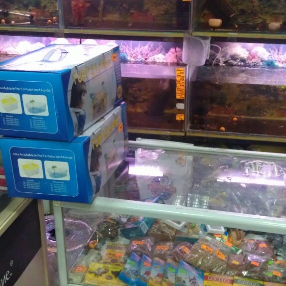 Зоомагазин на первомайской. Зоомагазин на первомайской