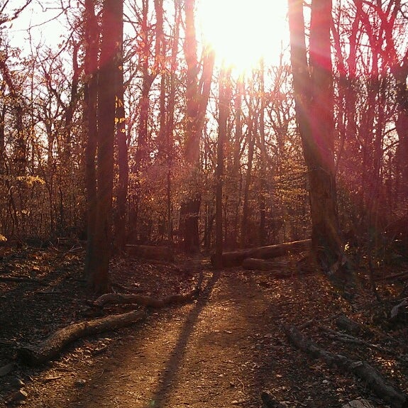 Whitehaven Parkway Park Park in Washington