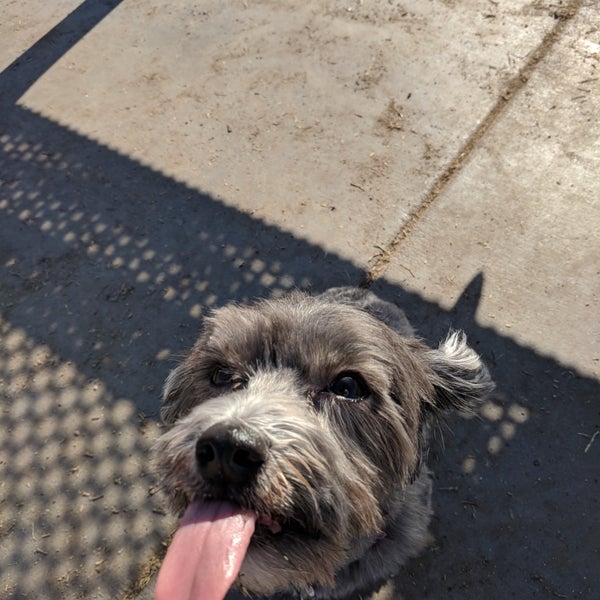 Echo Mountain Dog Park 6 tips from 316 visitors