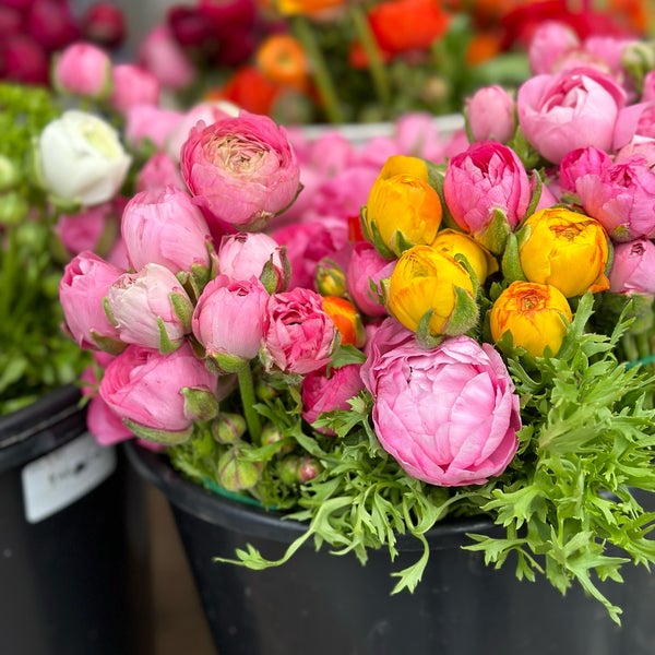 Photo prise au Ferry Plaza Farmers Market par Kevin L. le5/27/2023