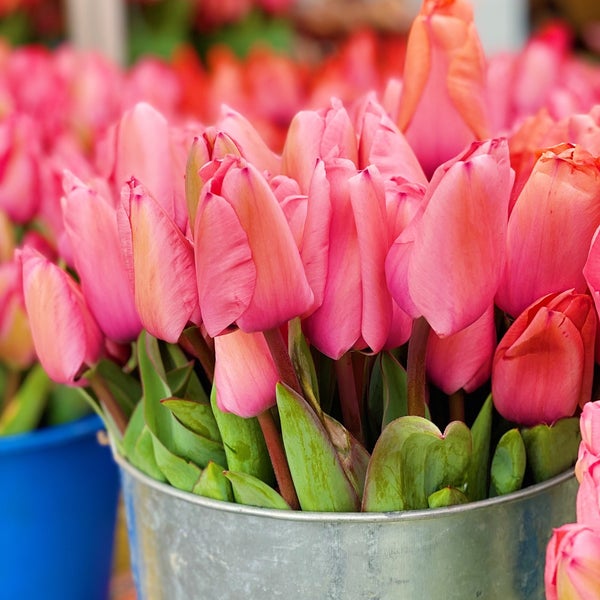 Photo taken at Ferry Plaza Farmers Market by Kevin L. on 2/26/2023