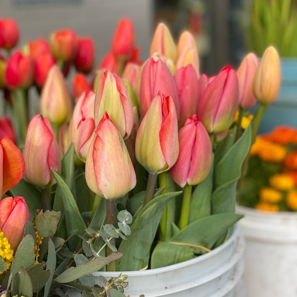 รูปภาพถ่ายที่ Ferry Plaza Farmers Market โดย Kevin L. เมื่อ 2/26/2023