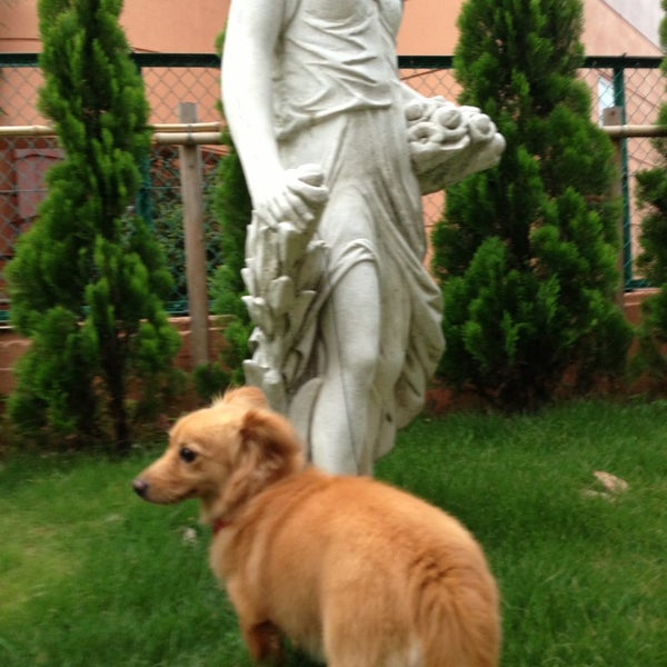 橋本東急ストア Now Closed Grocery Store In 相模原