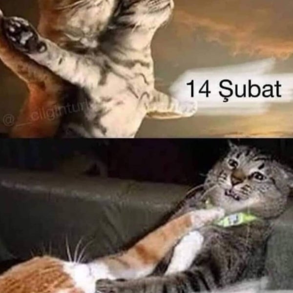 aç kapıyı gir içeri indir uncensored hentai porn