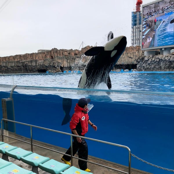 名古屋港水族館スタジアム 港区 港区港町1 3 名古屋港水族館スタジアム 港区 港区港町1 3