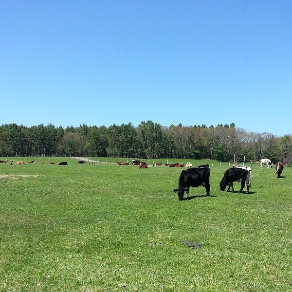 Brookvale Pines Farm Epping, NH