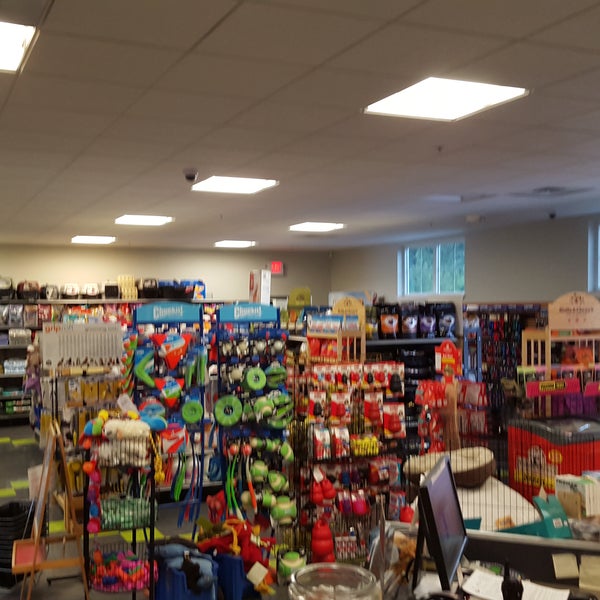 K9 Kaos Pet Supplies Store in Dover