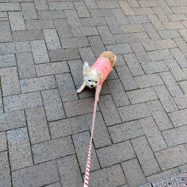 Photos At Zoo 四谷 四谷 2 Tips