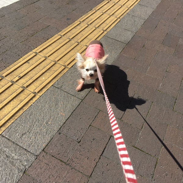 Photos At Zoo 四谷 四谷 2 Tips