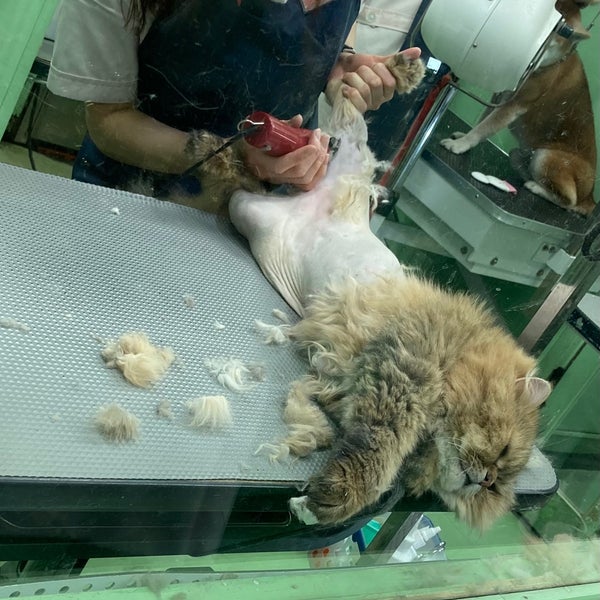 Photos At Zoo 四谷 四谷 2 Tips