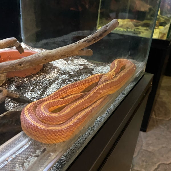 Photos At Jungle Park Vialand Theme Park Ride Attraction In Yesilpinar Photos At Jungle Park Vialand Theme Park Ride Attraction In Yesilpinar