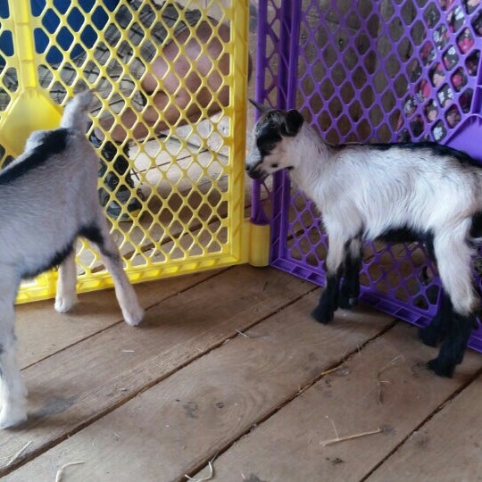 Mill Farm Lovettsville, VA